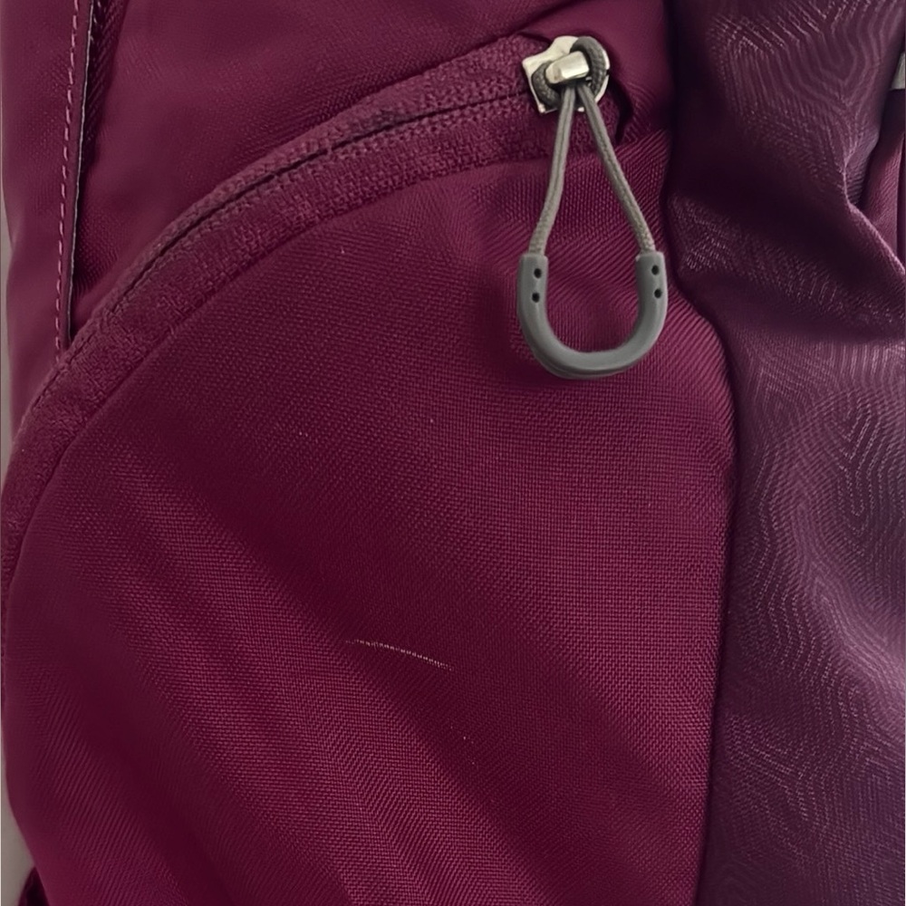 Osprey Axis Backpack in Deep Plum - Picture 4 of 14